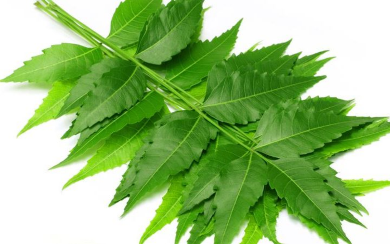 NEEM FOR ACNE MARKS & HYPER PIGMENTATION ozoneayurvedics