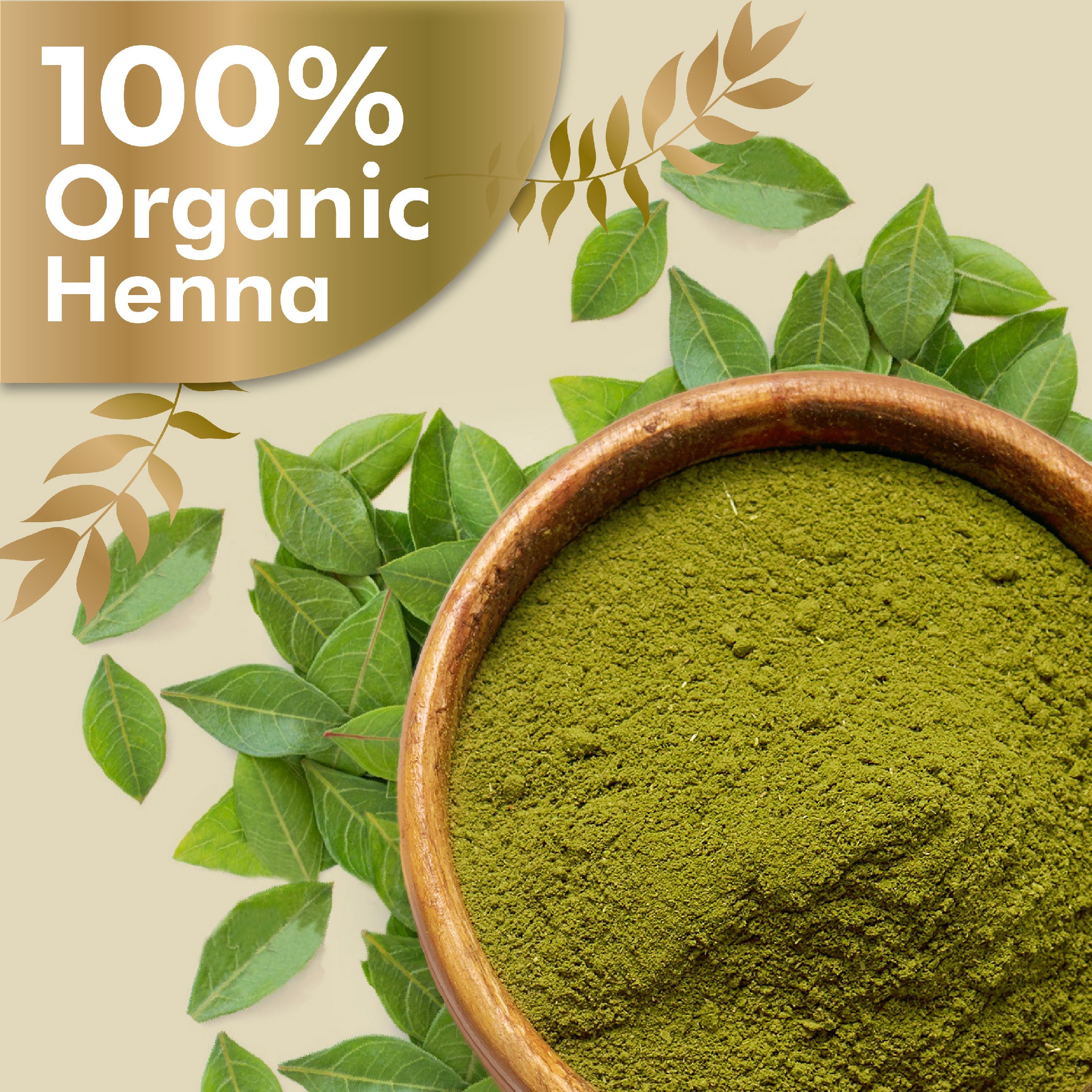 Henna Conditioner 100GM