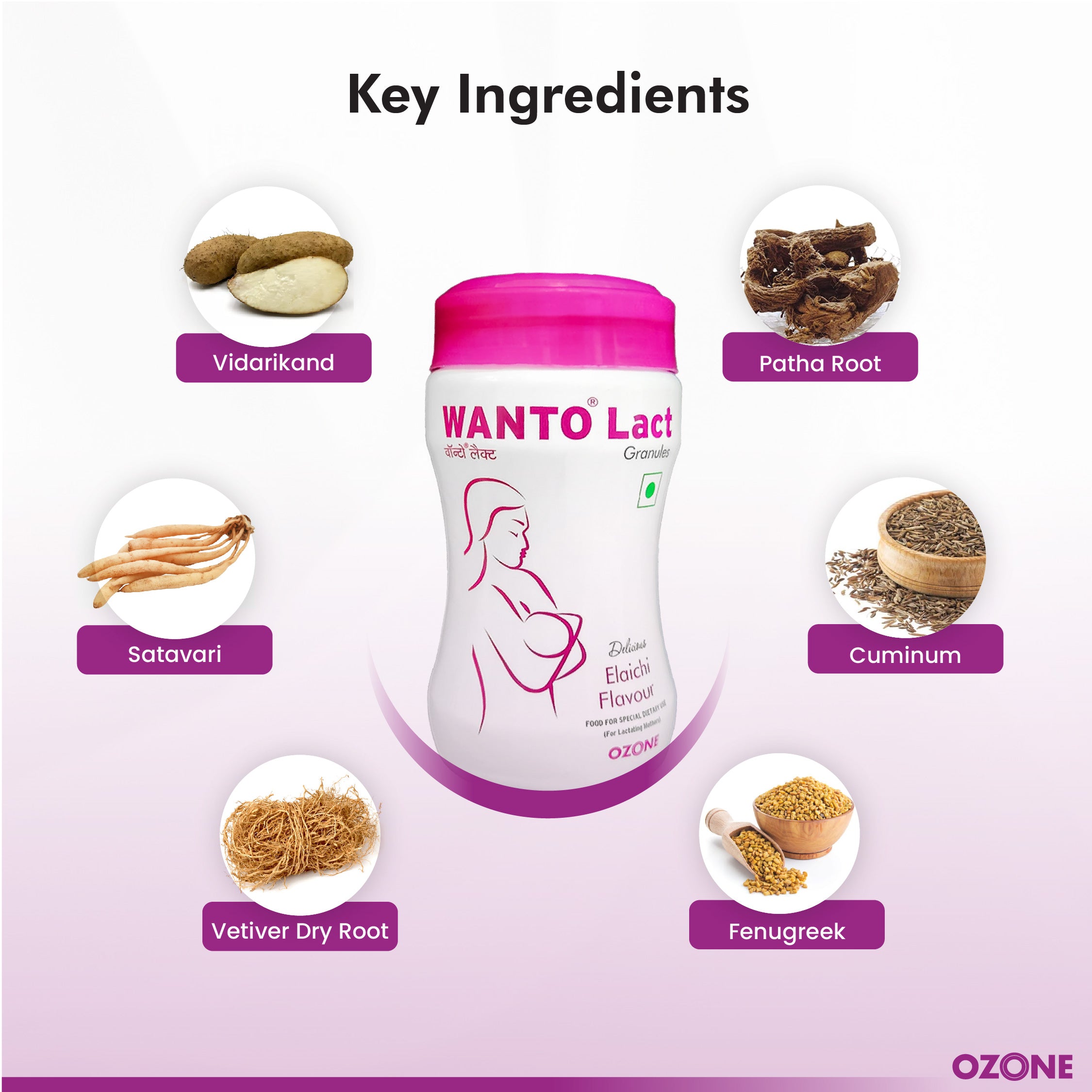 Wanto Lact- feeding Supplement